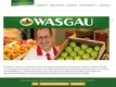 WASGAU Produktions & Handels AG