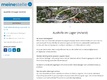 Bauer Unternehmensgruppe GmbH & Co. KG