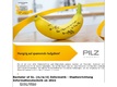 Pilz GmbH & Co. KG