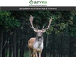 arvea GmbH