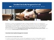 IBsolution