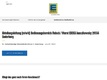 Selbstständige Einzelhändler/innen