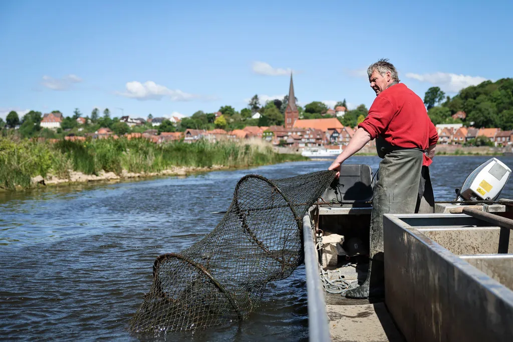 Weniger als ein Dutzend Berufsfischer auf der Elbe im Norden