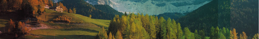 Titelseite der Ausgabe 002 / 2013